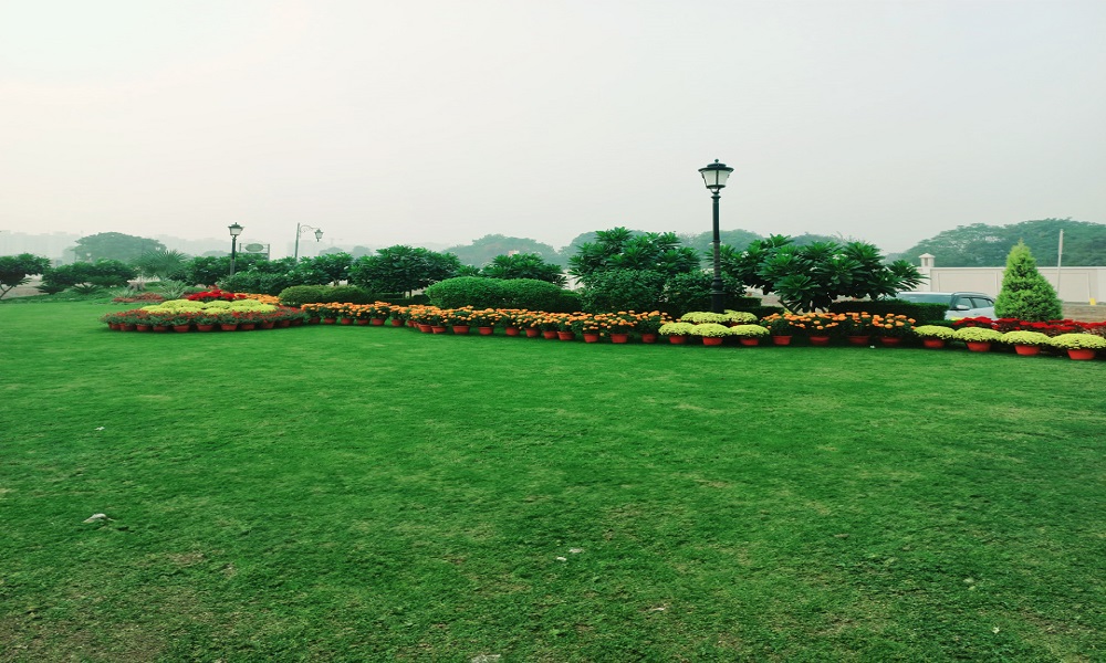 Garden Avenue
